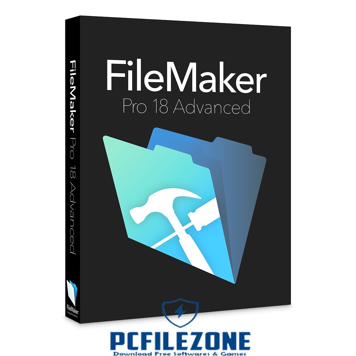 filemaker pro 18 advanced add tabs to records