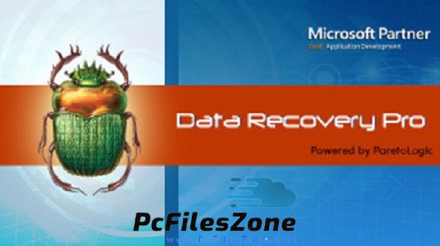 ParetoLogic Data Recovery Pro 2019 Free Download