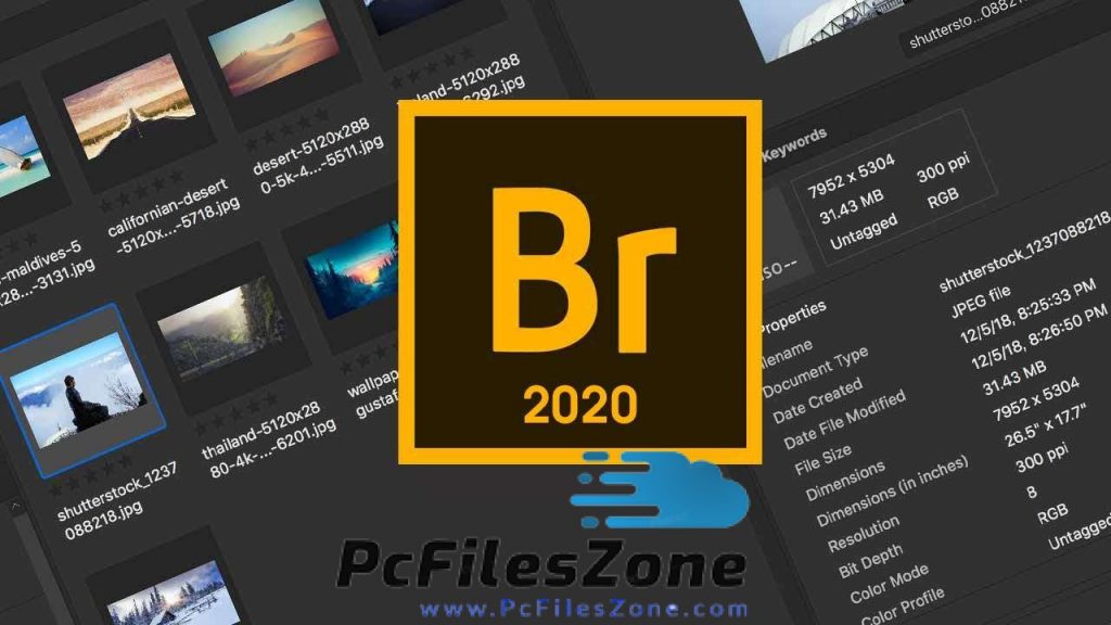 Adobe Bridge CC 6.3.0.177 download