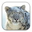 Apple Mac OS X Snow Leopard for Mac